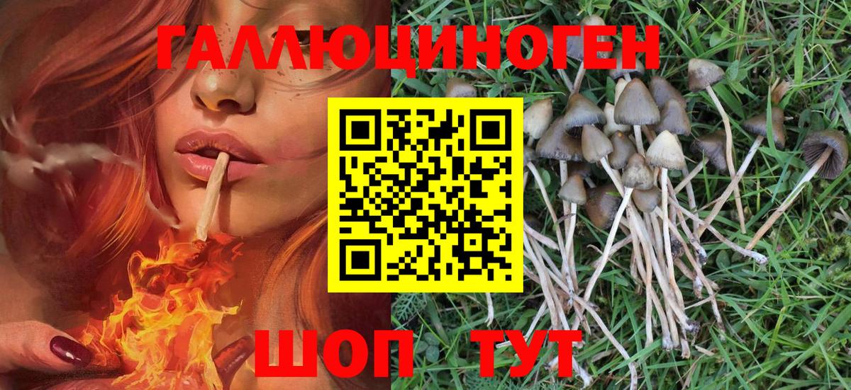 Псилоцибиновые грибы Magic Shrooms Канаш